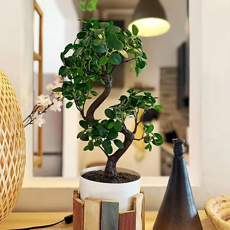 Woodshed House Appartamento