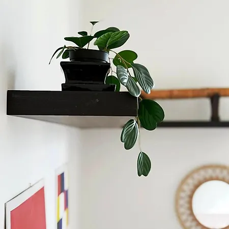 Woodshed House Firenze