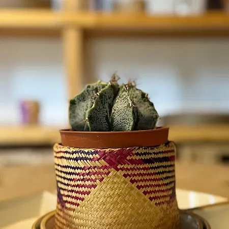 Appartamento Woodshed House Firenze