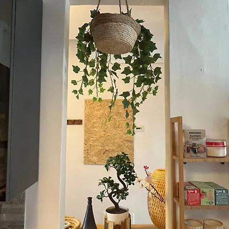 Woodshed House Firenze