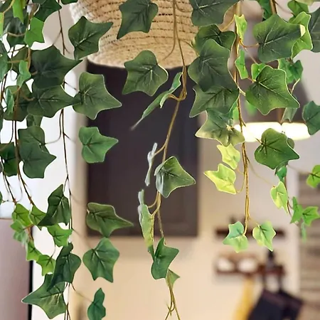 Woodshed House * Firenze